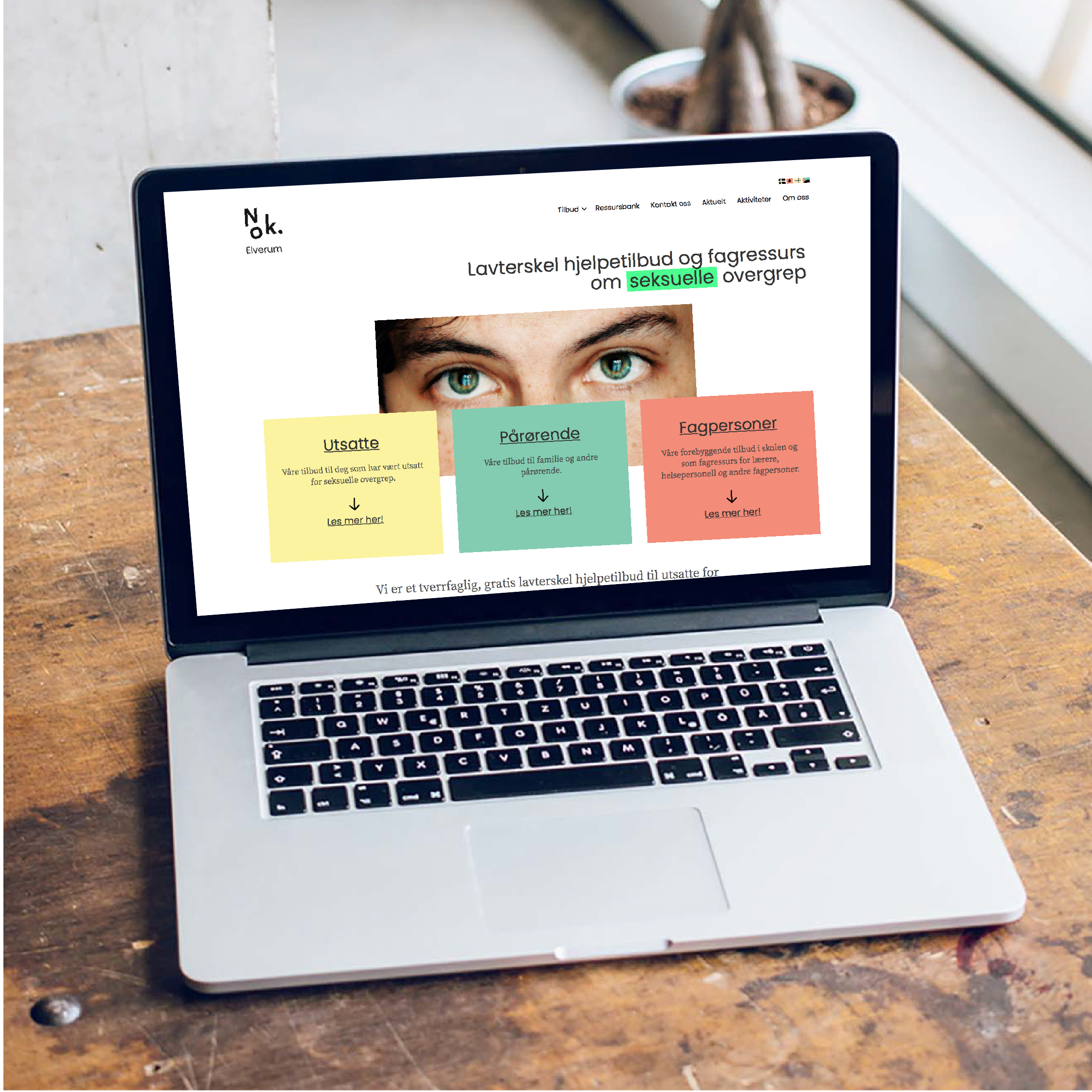 Nok._web-design_bardus-design