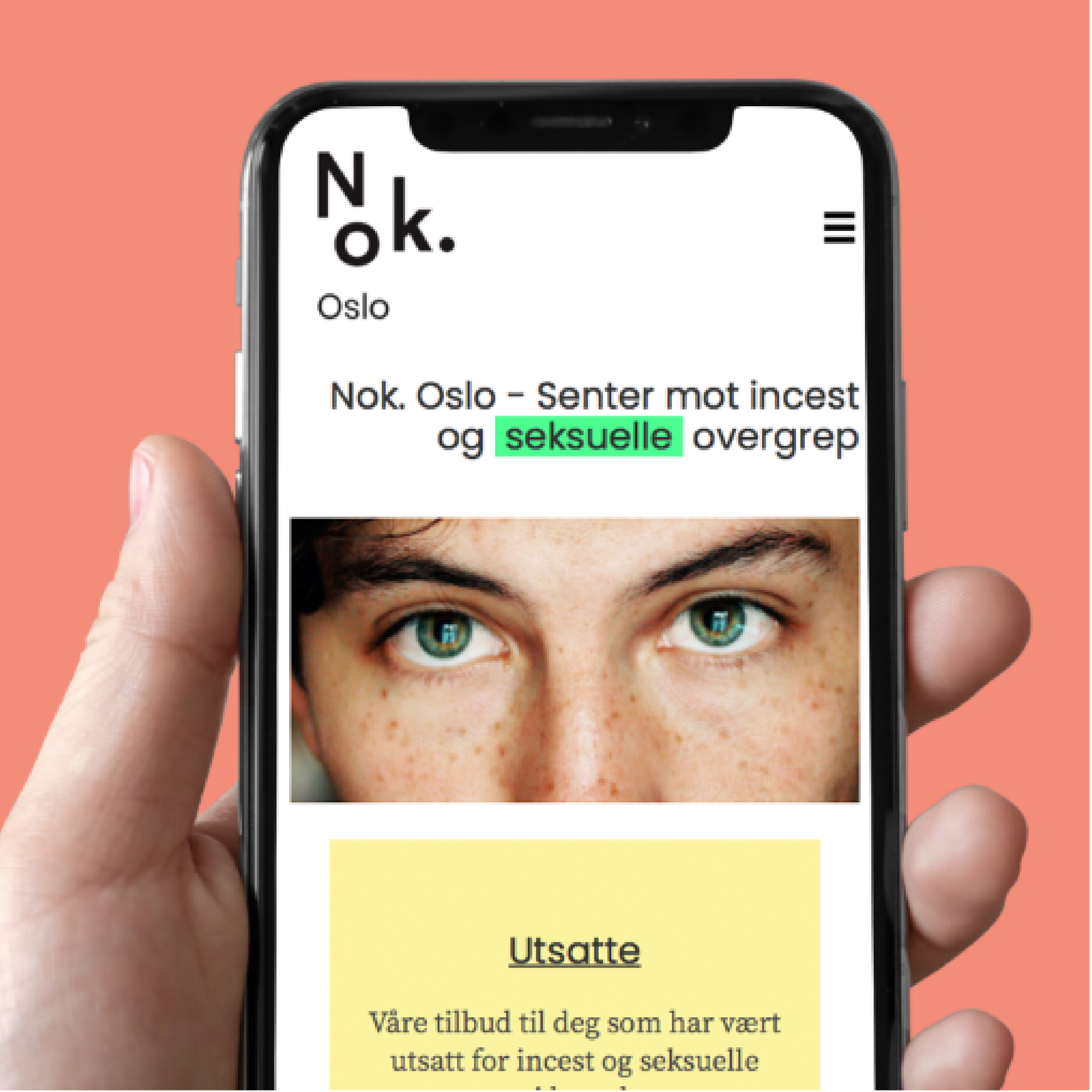Nok._web-design_utsnitt